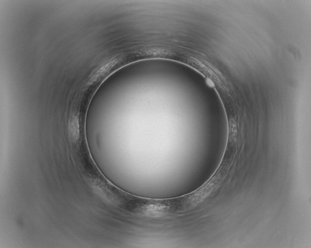 X0000116560158200912101457