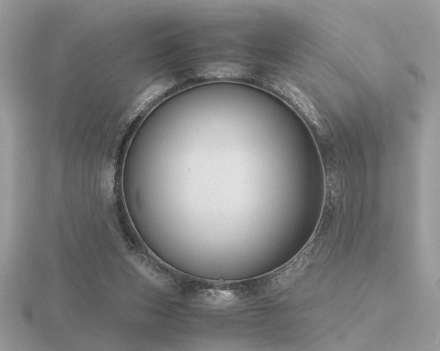 X0000116560159200912101457