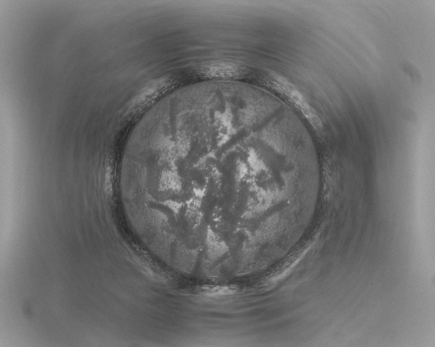 X0000116560161200912101457