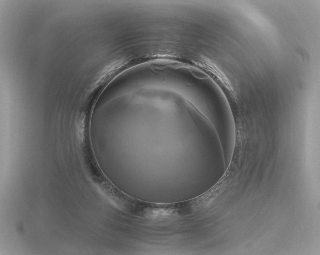 X0000116560163200912101457