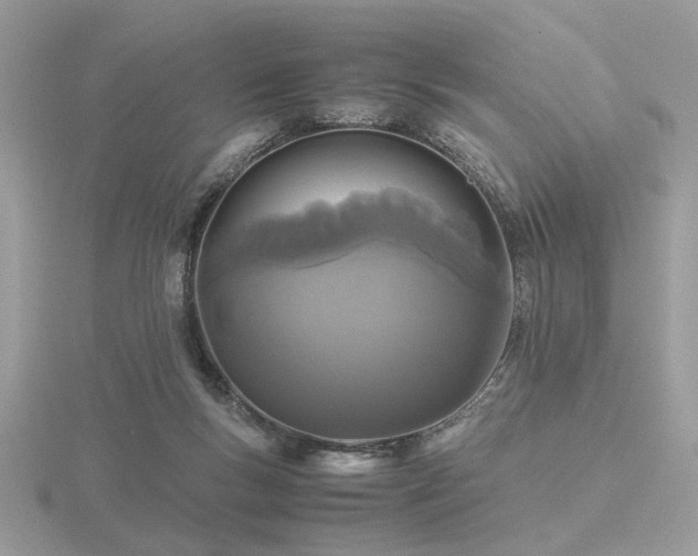 X0000116560167200912101457
