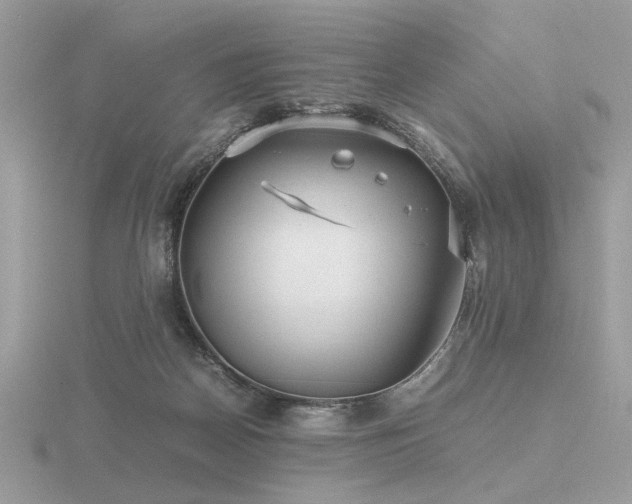 X0000116560170200912101457