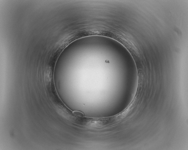 X0000116560174200912101457