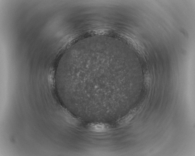 X0000116560181200912101457