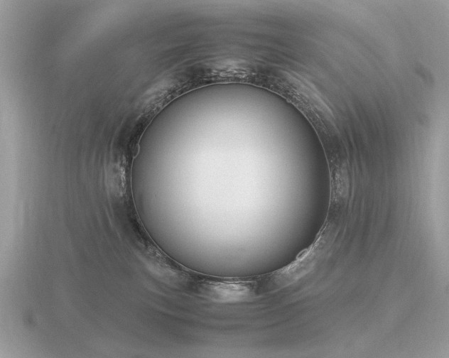 X0000116560183200912101457