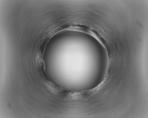 X0000116560186200912101457
