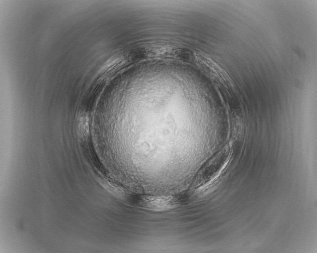 X0000116560191200912101457