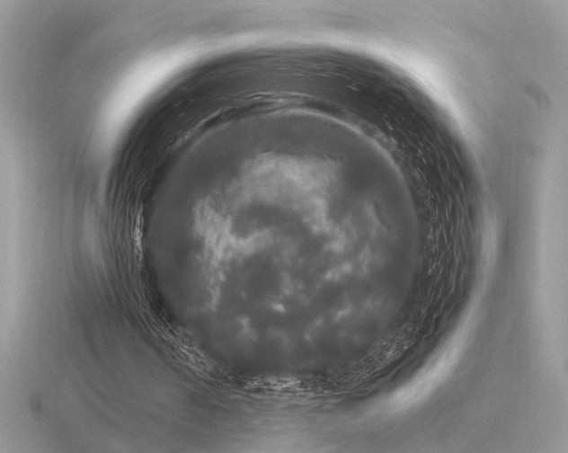 X0000116560194200912101457