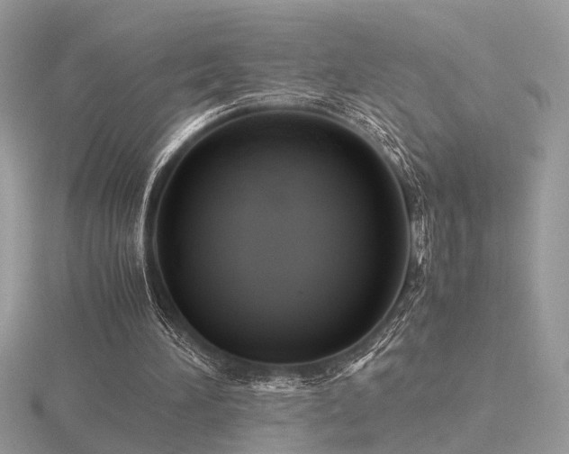 X0000116560196200912101457