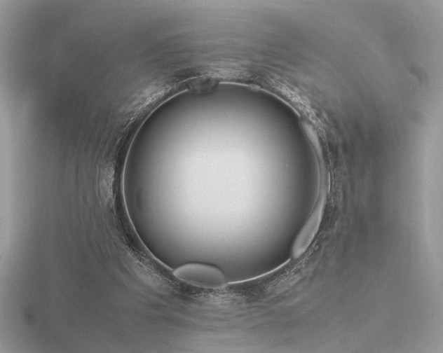 X0000116560201200912101457