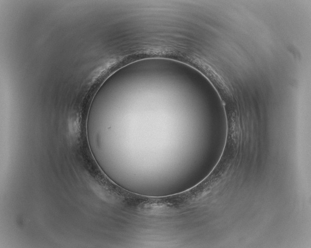 X0000116560208200912101457