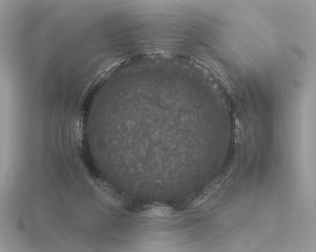 X0000116560210200912101457
