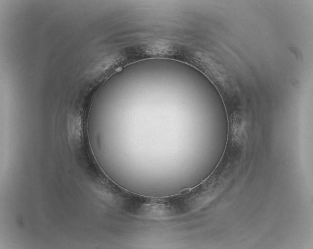 X0000116560211200912101457