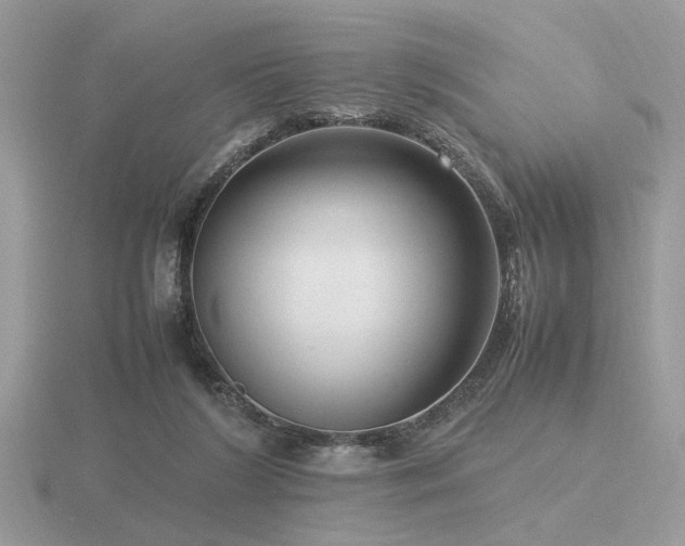X0000116560212200912101457