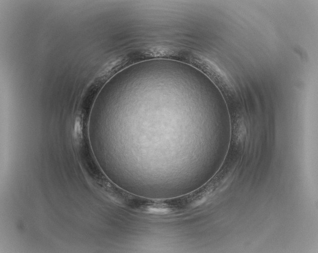 X0000116560214200912101457