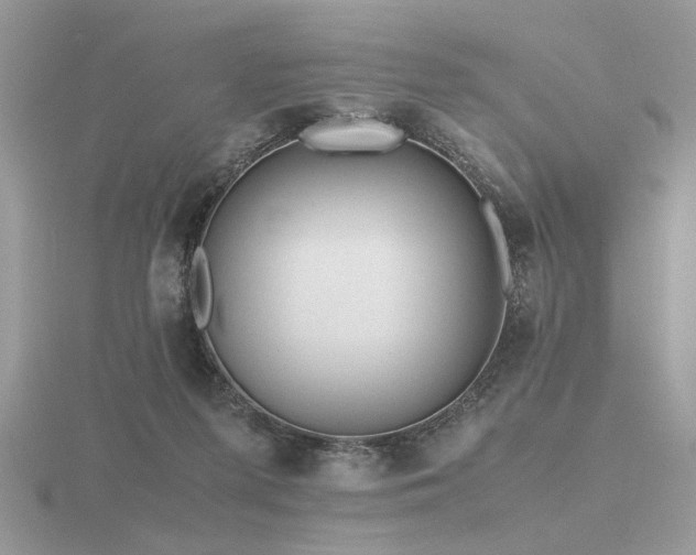 X0000116560215200912101457
