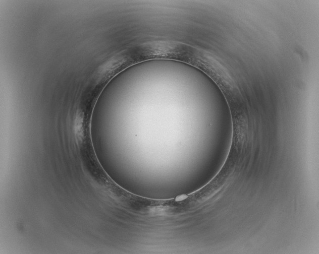 X0000116560216200912101457