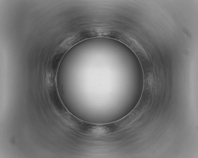X0000116560218200912101457