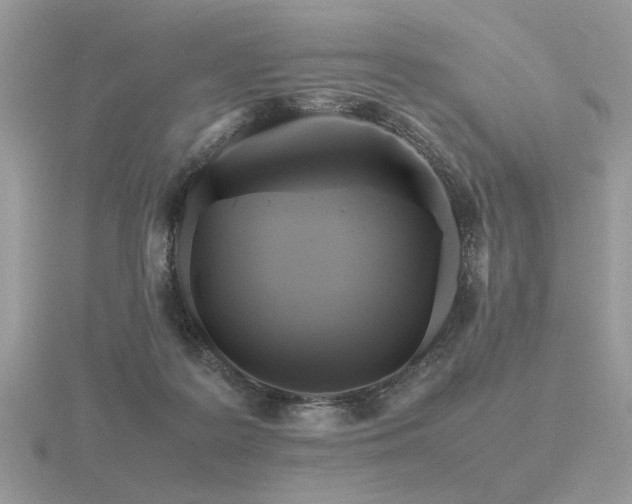 X0000116560219200912101457