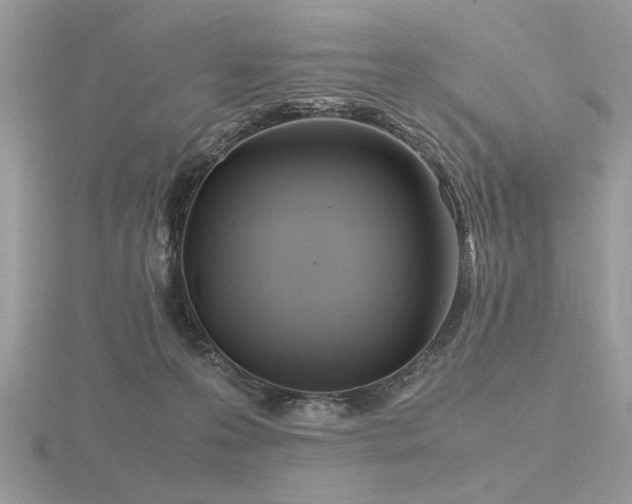 X0000116560223200912101456