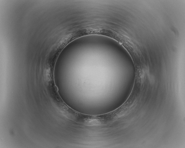 X0000116560224200912101456