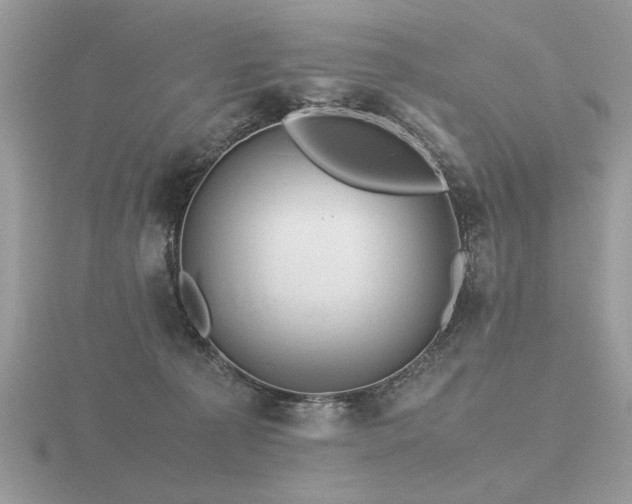 X0000116560225200912101456