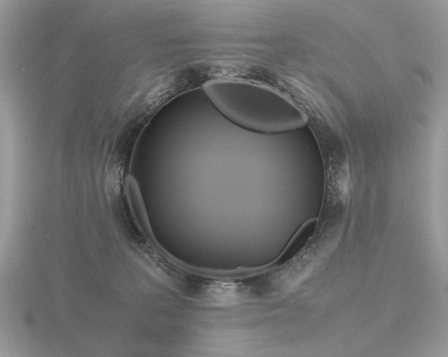 X0000116560227200912101456