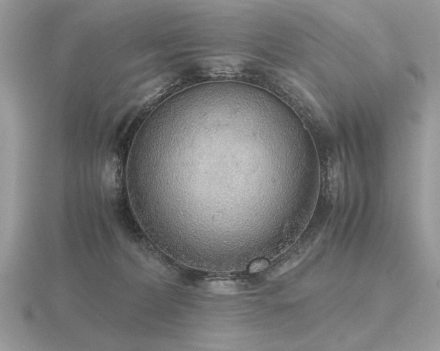 X0000116560228200912101456