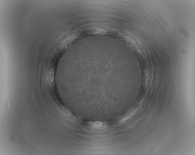 X0000116560230200912101456