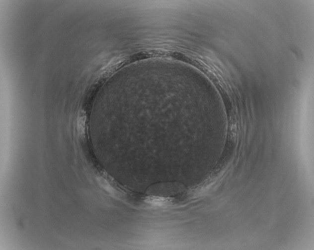 X0000116560231200912101456