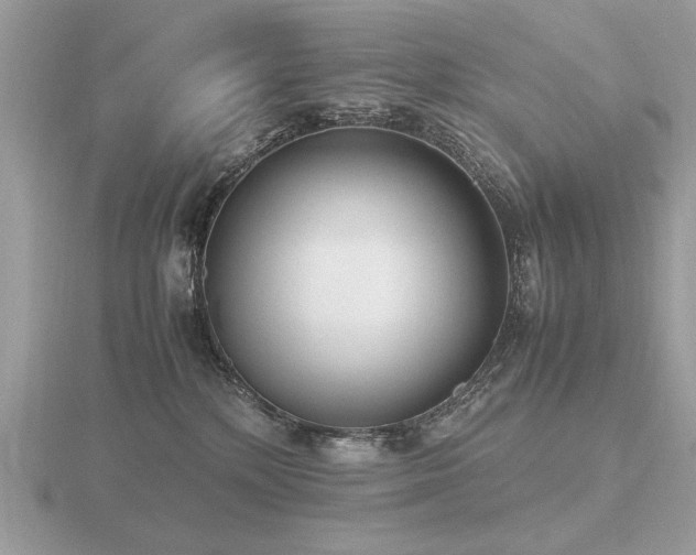 X0000116560232200912101456