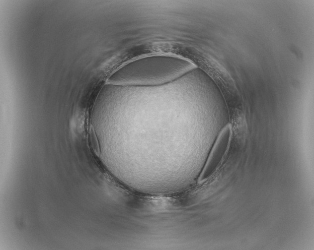 X0000116560233200912101456