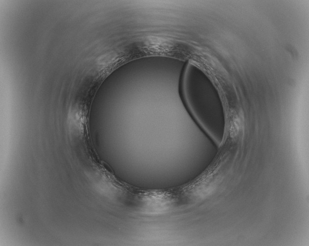 X0000116560235200912101456