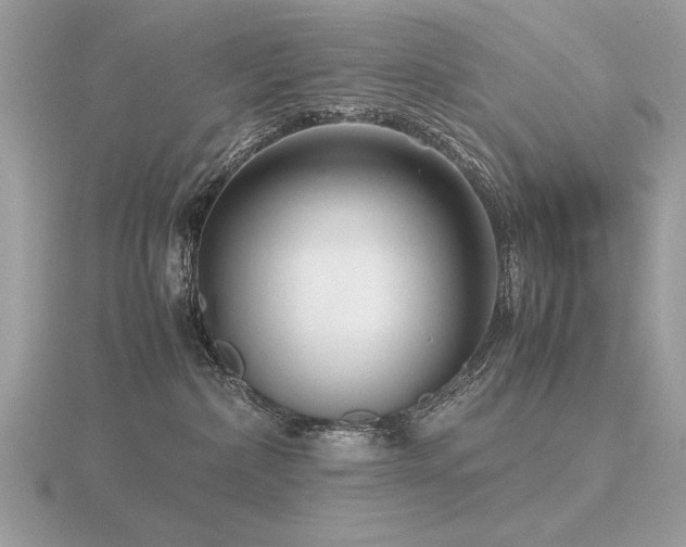 X0000116560236200912101456