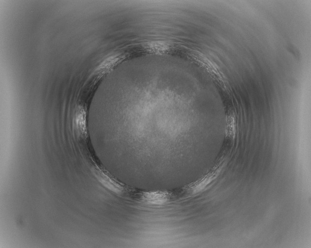 X0000116560238200912101456