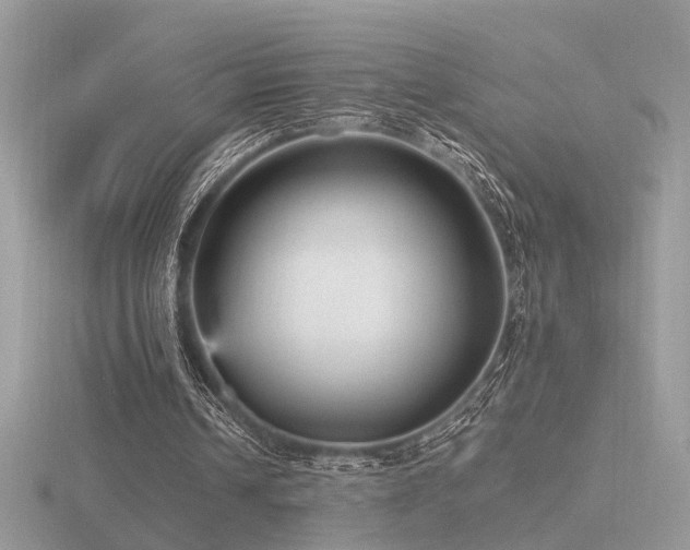 X0000116560242200912101456