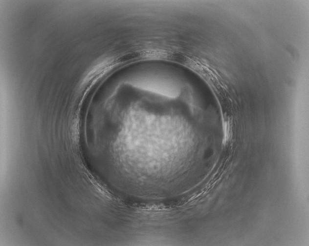 X0000116560243200912101456