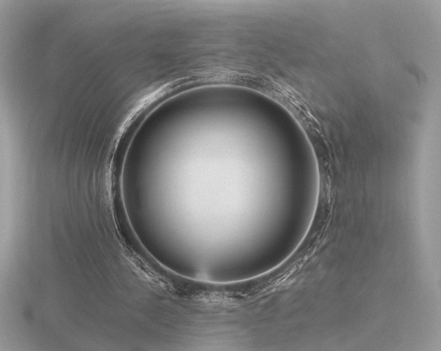 X0000116560244200912101456