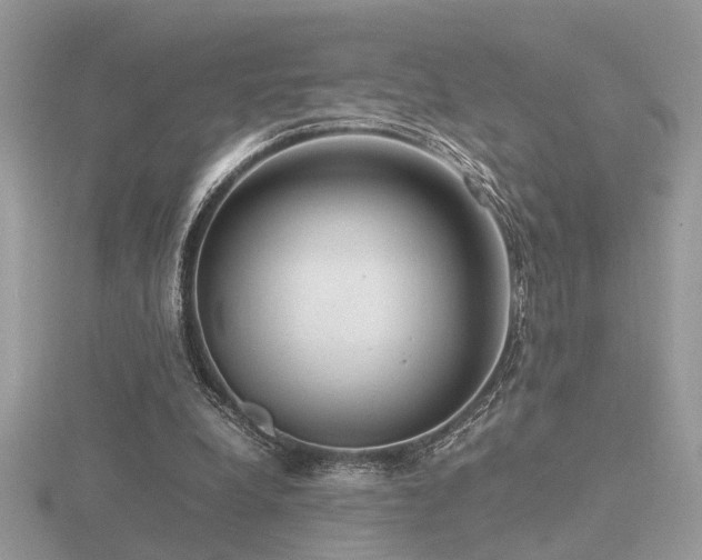 X0000116560248200912101456