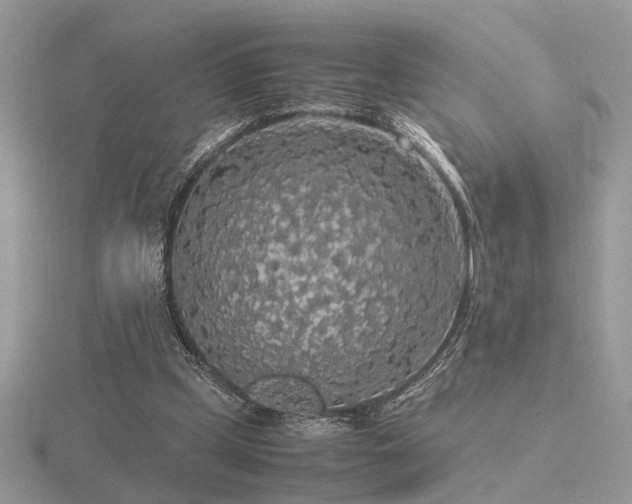 X0000116560249200912101456