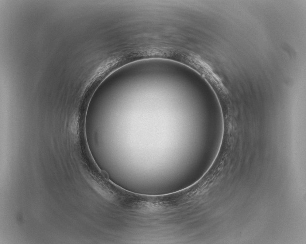 X0000116560250200912101456