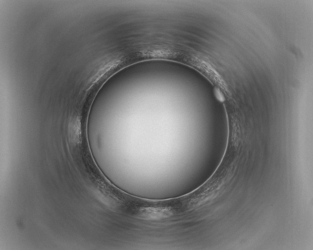 X0000116560251200912101456