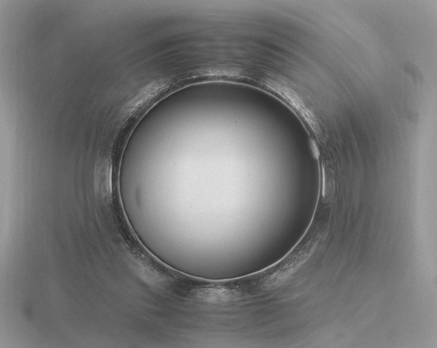 X0000116560253200912101456