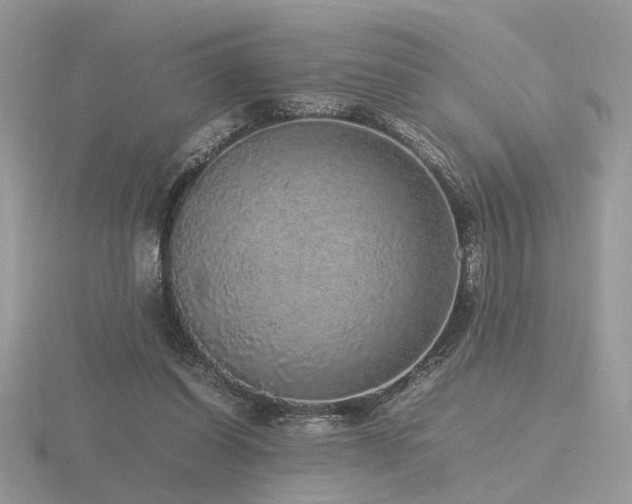 X0000116560254200912101456