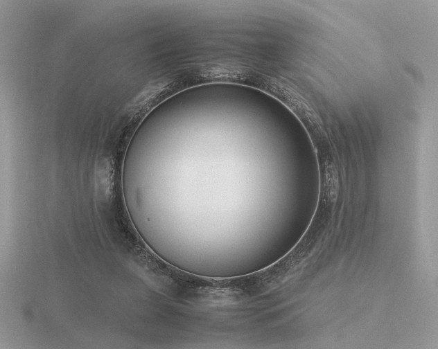 X0000116560255200912101456