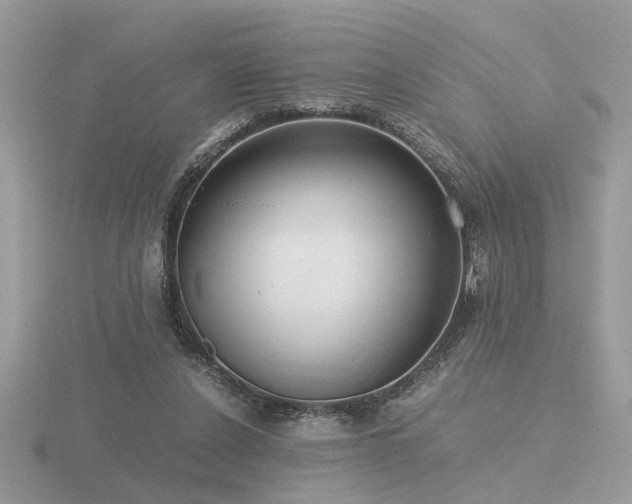 X0000116560256200912101456