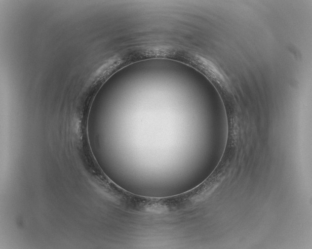 X0000116560258200912101456