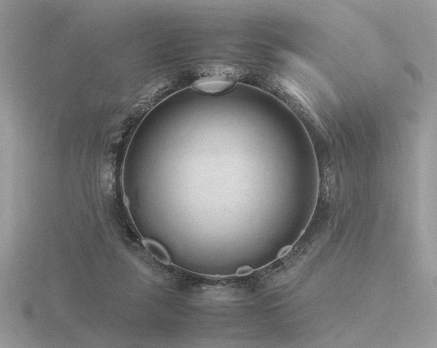 X0000116560259200912101456