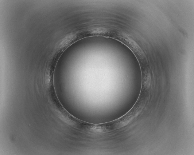 X0000116560261200912101456