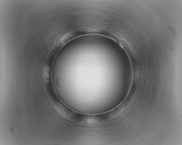 X0000116560264200912101456